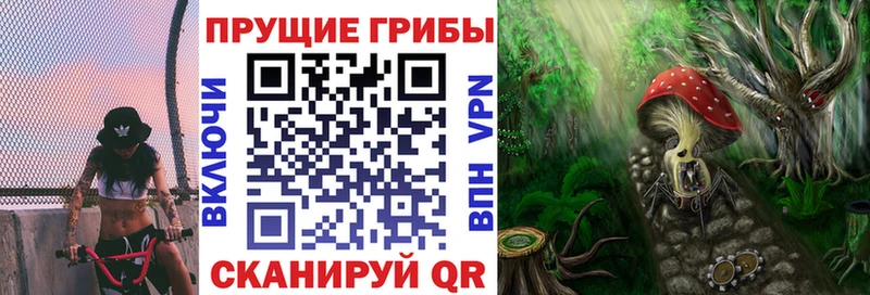 Псилоцибиновые грибы Psilocybe  Купить  Далматово 